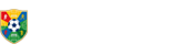 法甲直播